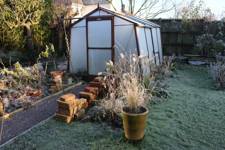 zelenjavni naslovna-nov24.jpg