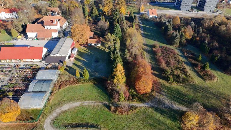 Zelena cona - Medlog