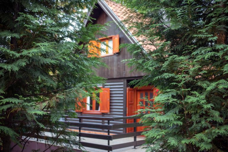 vikedn, nakup, nepremicine