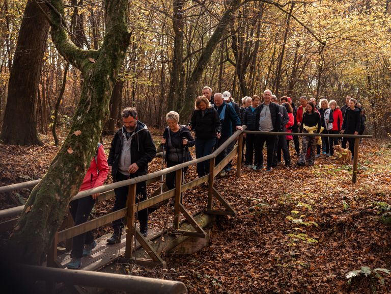 martinov-pohod, martinovanje, moravske-toplice, krnci