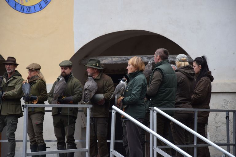 odprtje-lova-s-sokoli, beltinci, 2025