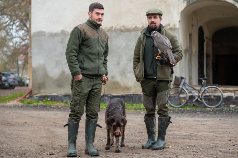 beltinci, lov-s-sokoli