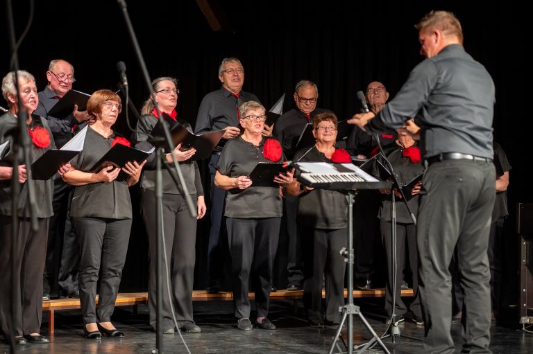 mepz-andrej-marosa, koncert, s-prijatelji-za-prijatelje