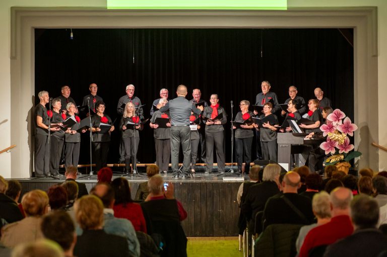 mepz-andrej-marosa, koncert, s-prijatelji-za-prijatelje