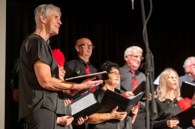 mepz-andrej-marosa, koncert, s-prijatelji-za-prijatelje