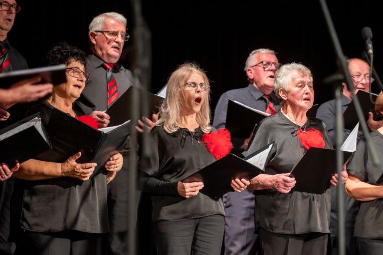 mepz-andrej-marosa, koncert, s-prijatelji-za-prijatelje