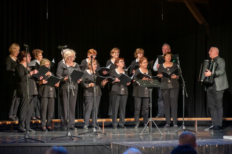 mepz-andrej-marosa, koncert, s-prijatelji-za-prijatelje