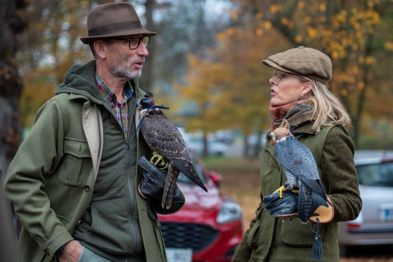 beltinci, lov-s-sokoli