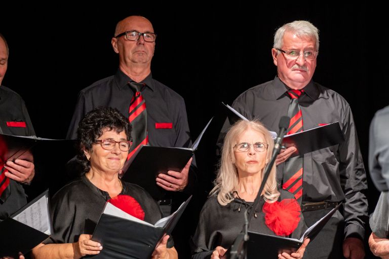 mepz-andrej-marosa, koncert, s-prijatelji-za-prijatelje