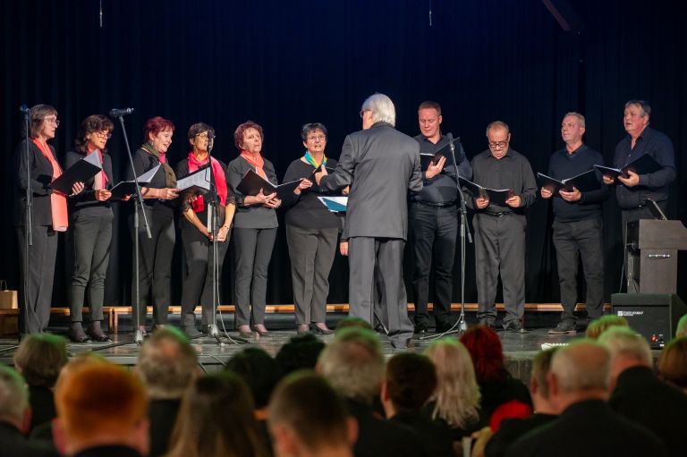 mepz-andrej-marosa, koncert, s-prijatelji-za-prijatelje