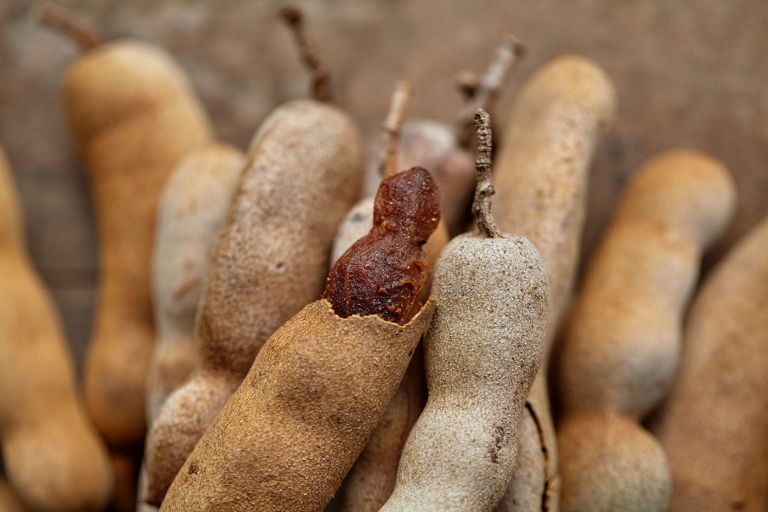 tamarind