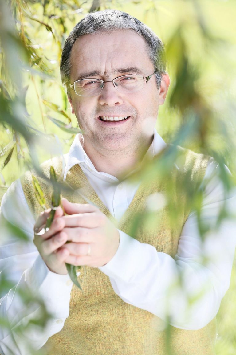 pocutje ajurveda_majes - andrej kriz.jpg