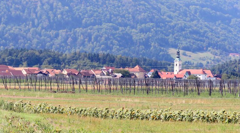 braslovce, letus, podgora, cesta