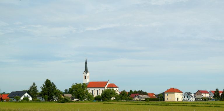 CG_markovci splet.jpg