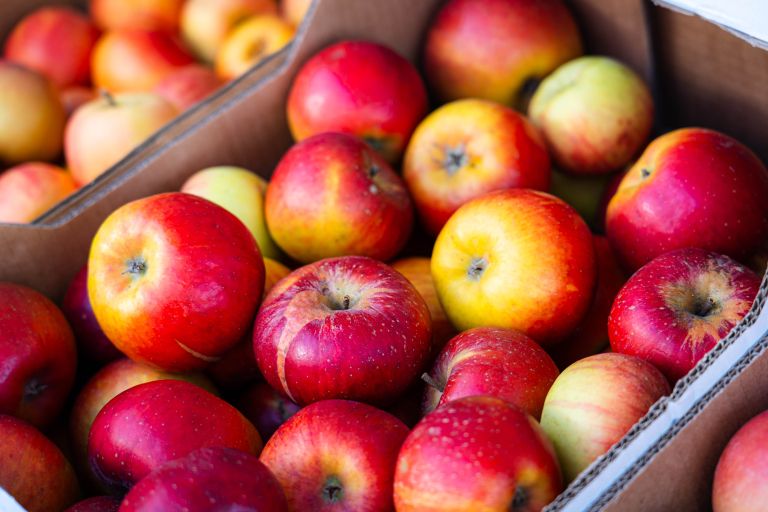 jabolka, tržnica-murska-sobota