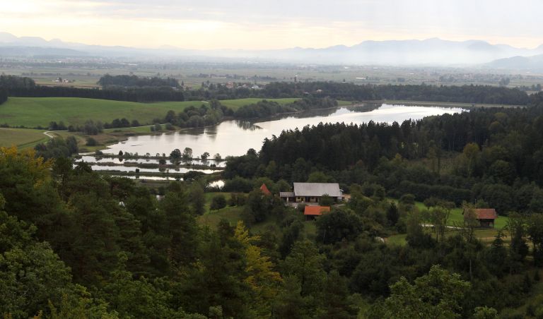 braslovce, letus, podgora, cesta