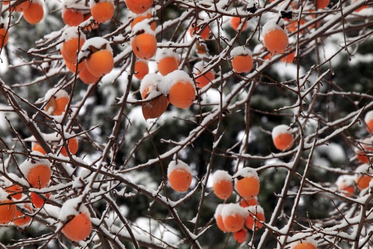 profimedia-0675376422 (1).jpg