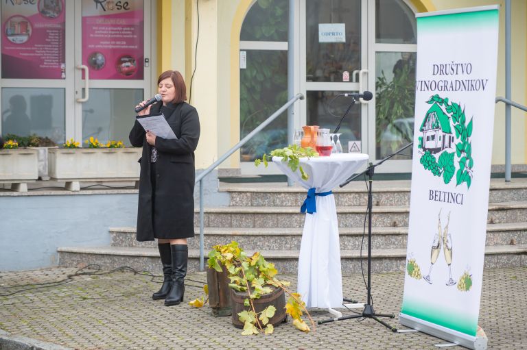 beltinci, vinogradnisko-drustvo-beltinci, martinovanje