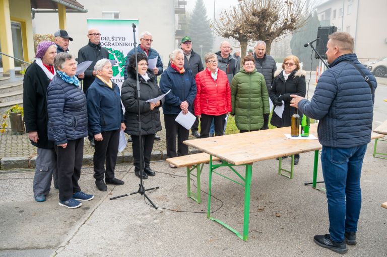 beltinci, vinogradnisko-drustvo-beltinci, martinovanje