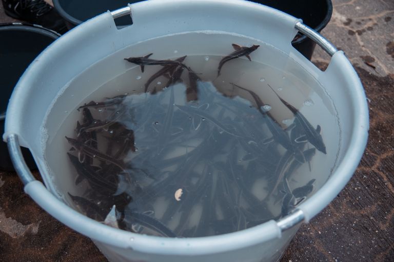 podpis-dekleracije-go-mura, go-mura, gornja-radgona, minister-jože-novak