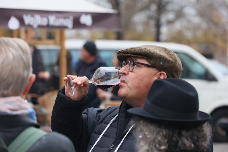 celje, martinovanje, vino, zavod-celeia