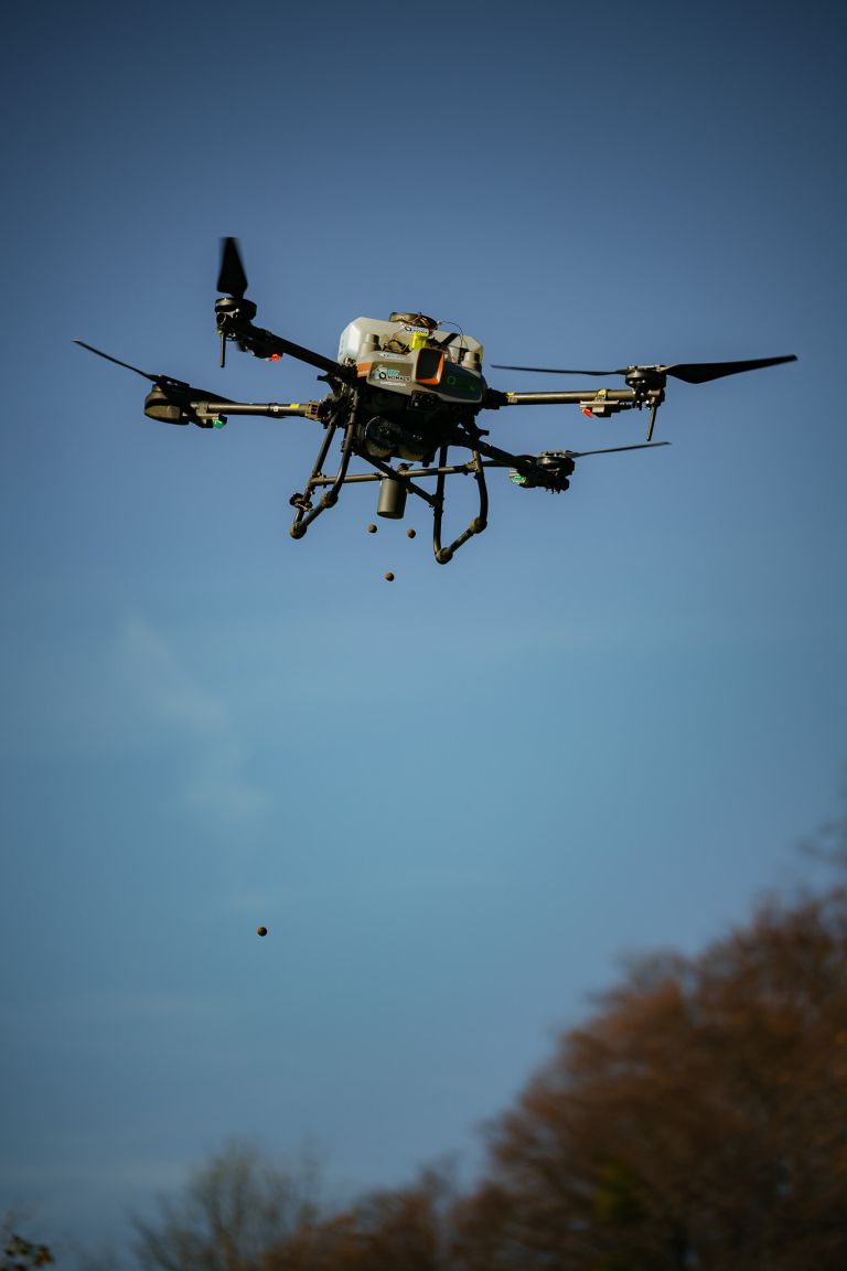 panvita, os-iii-murska-sobota, drevesa, zeleni-dan-panvite