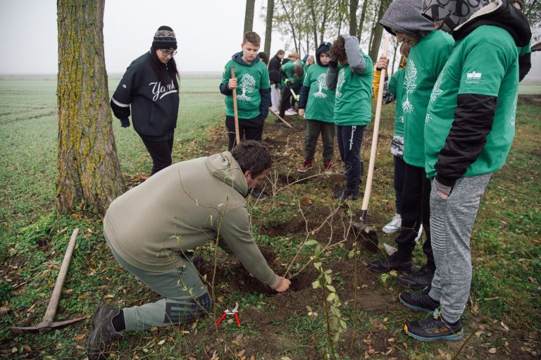 sajenje-mejic, gančani