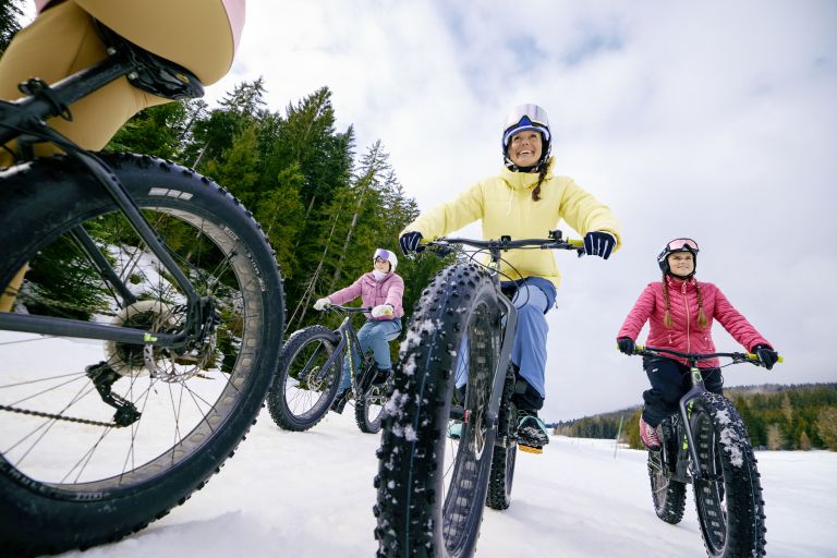 Lebensgefuehl-Oesterreich-Fatbiking-im-Winter_Oesterreich-Werbung_Linda-Schaeffler (1).jpeg