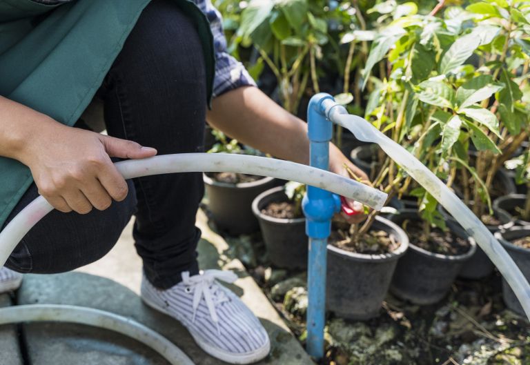 hb Zalivanje rož.jpg