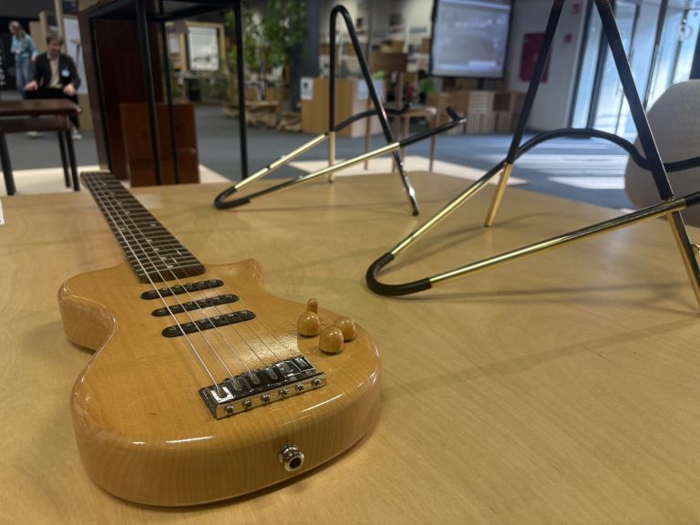 sejem-dom, sejem-ambient, gospodarsko-rastavisce