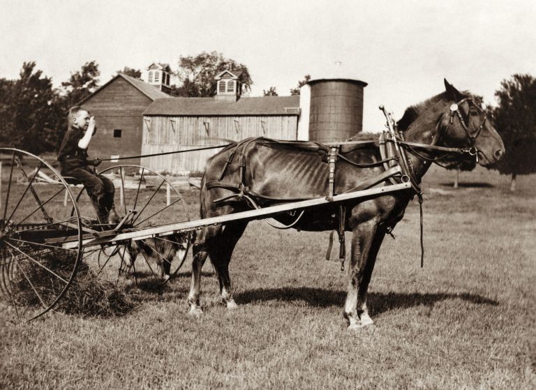 profimedia-0947238629 (1).jpg