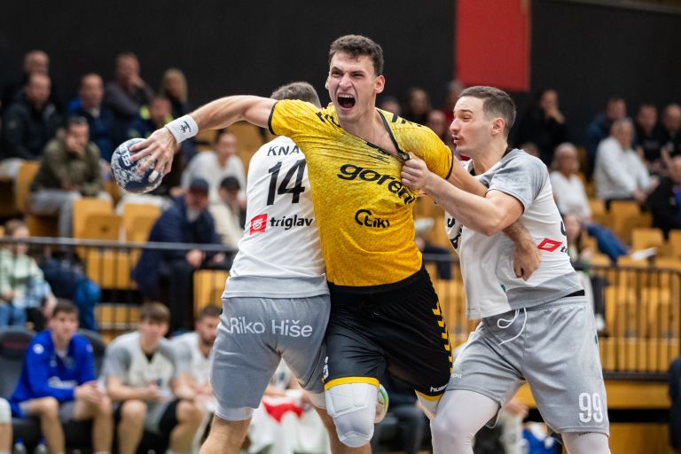 GorenjeVelenjeVsRikoRibnica2_Foto_JanGregorc.jpg