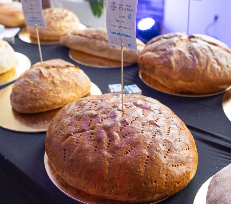 Favorit občinstva (Foto_Anže Krže_Mediaspeed).jpg