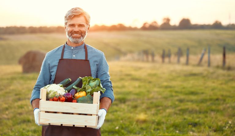 Kmetovalec, zelenjava