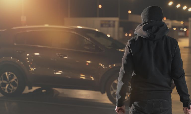 dz-kraja avtomobilov.jpg