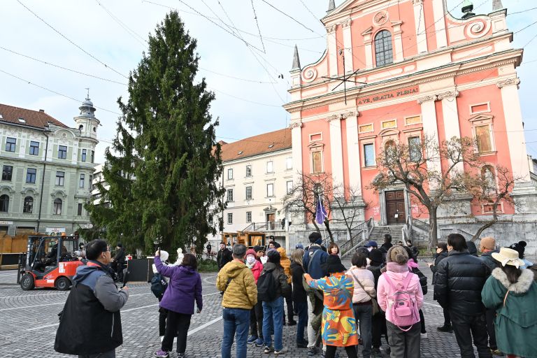 ljubljana-krasenje-stojnice-smreka
