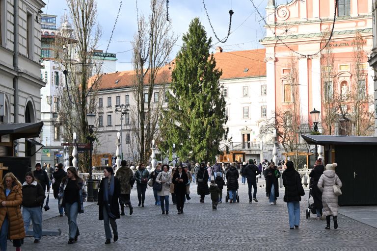 ljubljana-krasenje-stojnice-smreka