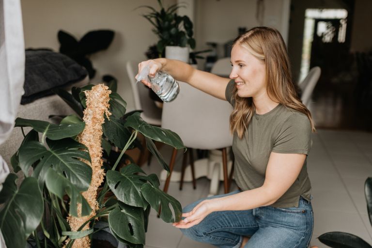 cistilci-zraka, sobne-rastilne