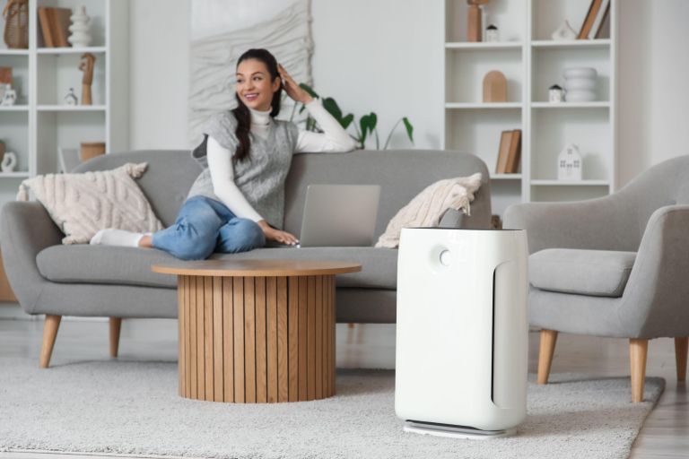 cistilci-zraka, sobne-rastilne