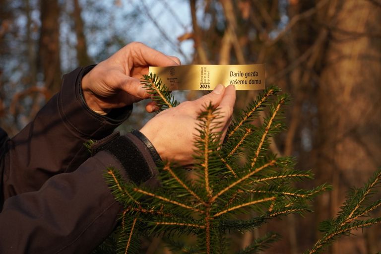 zavod-za-gozdove-slovenije, bozicno-drevo, zlata-nalepka