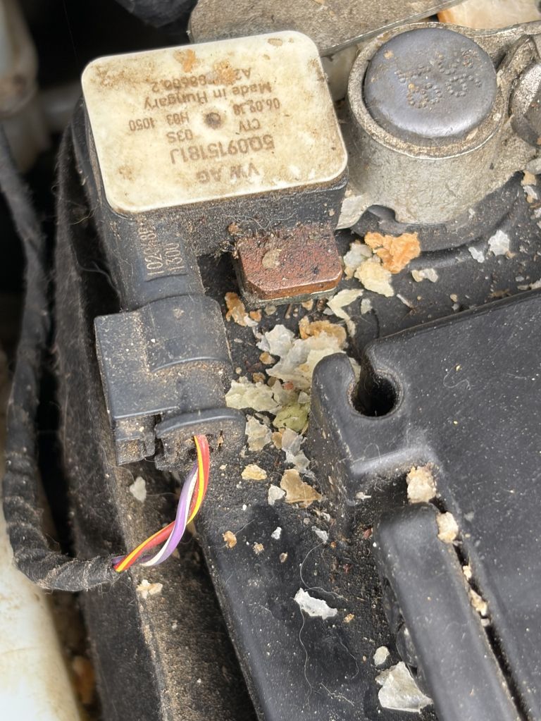 kuna, kune, avtomobil, škoda-na-avtomobilu