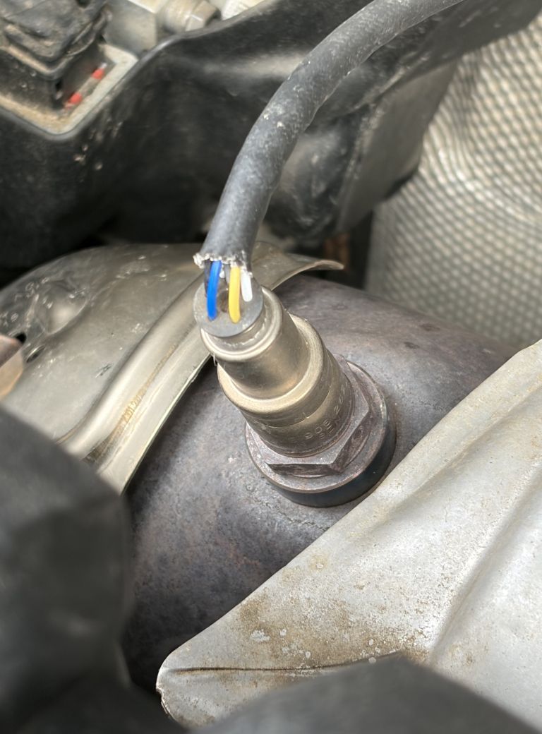 kuna, kune, avtomobil, škoda-na-avtomobilu