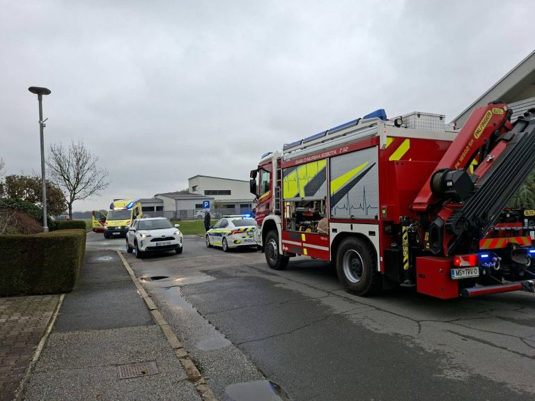 WhatsApp Image 2025-11-20 at 16.38.44_af73dd27.jpg