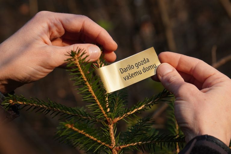 zavod-za-gozdove-slovenije, bozicno-drevo, zlata-nalepka