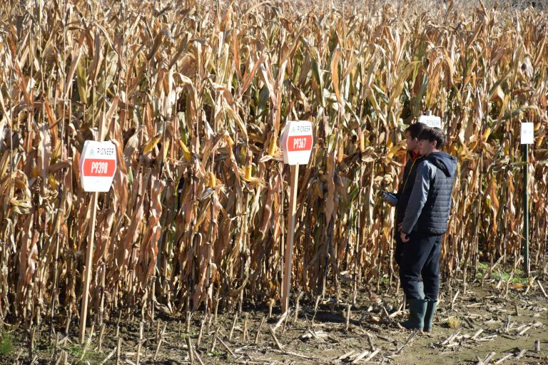 mv-suša ocenjevanje.JPG