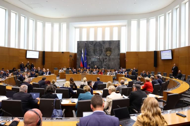 dz plenarna Matija Susnik.jpg