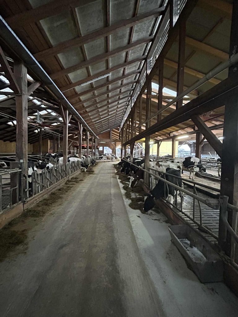 govedorejsko-drustvo-skocjan