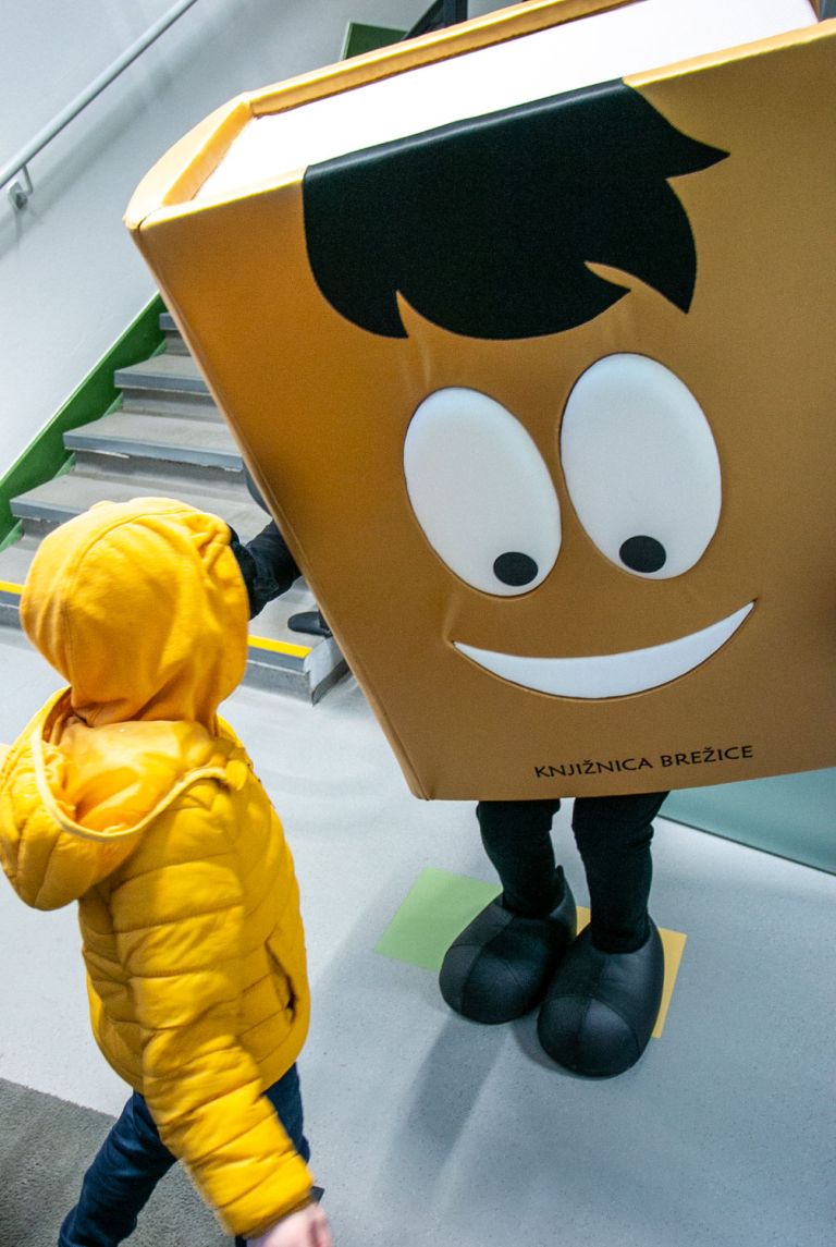 knjiznica-brezice