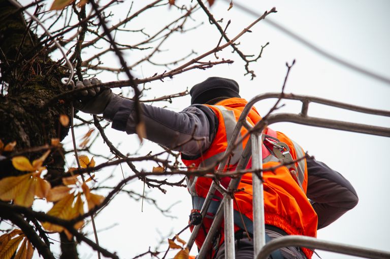 praznične-lučke, božične, komunala-murska-sobota