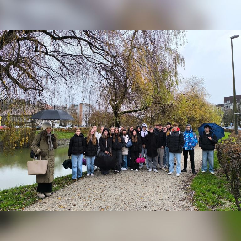 gfml, gimnazija-franca-miklošiča-ljutomer, miklošičevi-dnevi